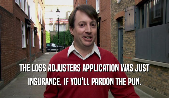 THE LOSS ADJUSTERS APPLICATION WAS JUST INSURANCE. IF YOU'LL PARDON THE PUN. 