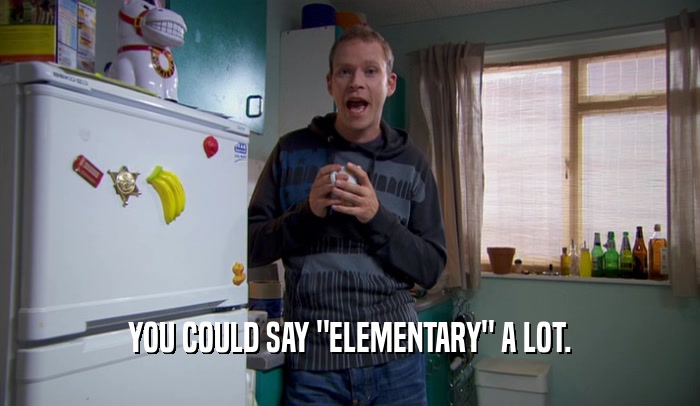 YOU COULD SAY 