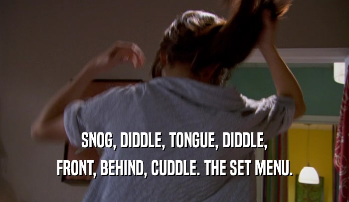SNOG, DIDDLE, TONGUE, DIDDLE,
 FRONT, BEHIND, CUDDLE. THE SET MENU.
 
