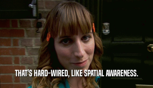 THAT'S HARD-WIRED, LIKE SPATIAL AWARENESS.  