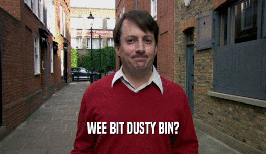 WEE BIT DUSTY BIN?  