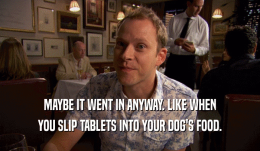 MAYBE IT WENT IN ANYWAY. LIKE WHEN YOU SLIP TABLETS INTO YOUR DOG'S FOOD. 