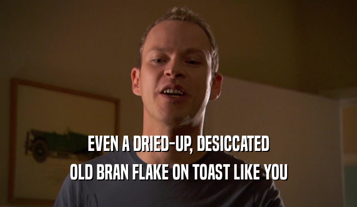 EVEN A DRIED-UP, DESICCATED OLD BRAN FLAKE ON TOAST LIKE YOU 