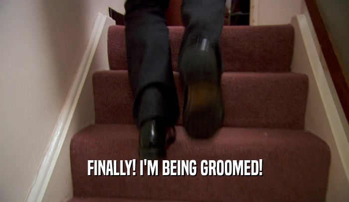 FINALLY! I'M BEING GROOMED!  