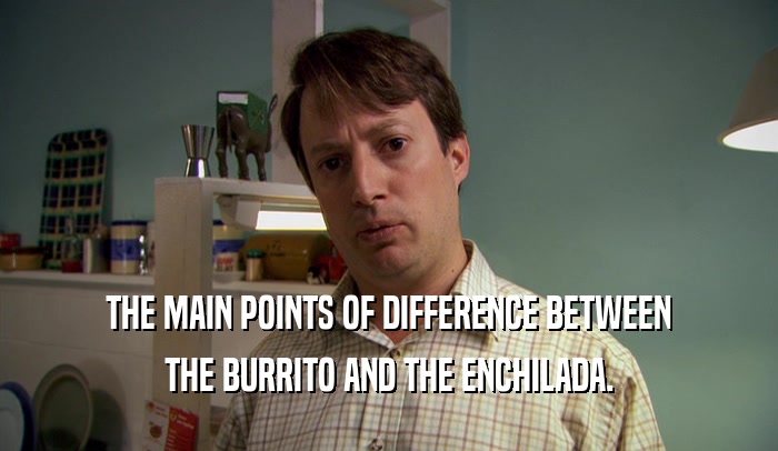 THE MAIN POINTS OF DIFFERENCE BETWEEN THE BURRITO AND THE ENCHILADA. 