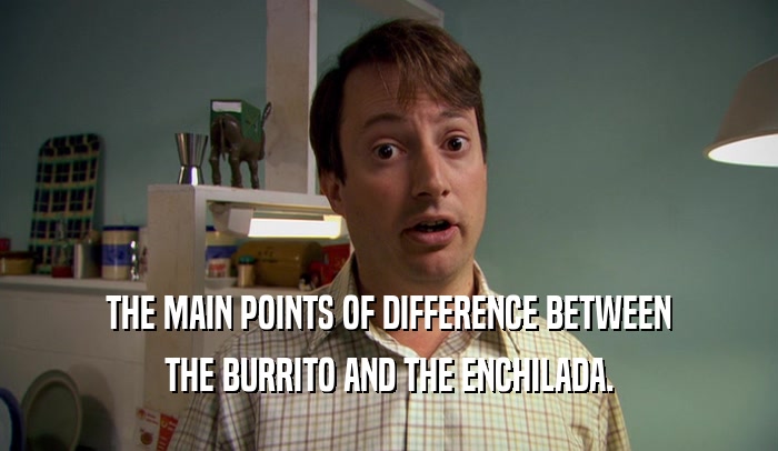THE MAIN POINTS OF DIFFERENCE BETWEEN THE BURRITO AND THE ENCHILADA. 