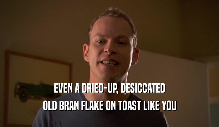 EVEN A DRIED-UP, DESICCATED OLD BRAN FLAKE ON TOAST LIKE YOU 