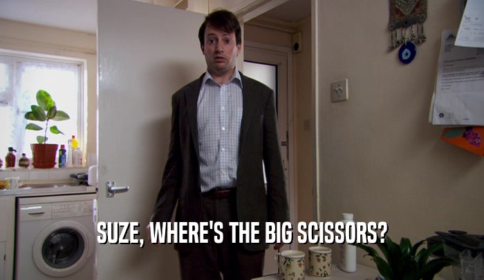 SUZE, WHERE'S THE BIG SCISSORS?  
