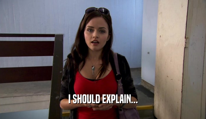I SHOULD EXPLAIN...  