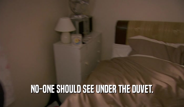 NO-ONE SHOULD SEE UNDER THE DUVET.  