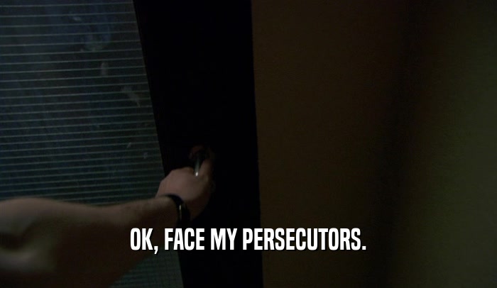 OK, FACE MY PERSECUTORS.  