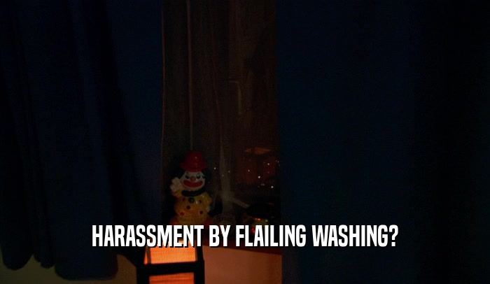 HARASSMENT BY FLAILING WASHING?  