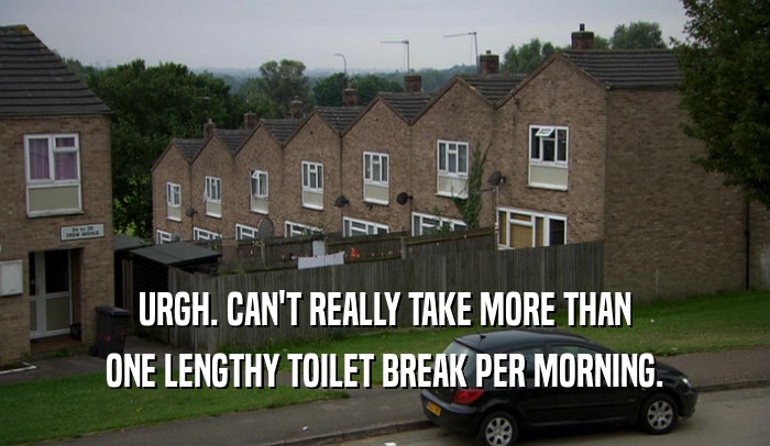 URGH. CAN'T REALLY TAKE MORE THAN ONE LENGTHY TOILET BREAK PER MORNING. 