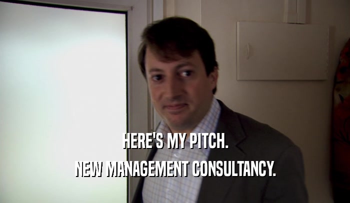 HERE'S MY PITCH.
 NEW MANAGEMENT CONSULTANCY.
 