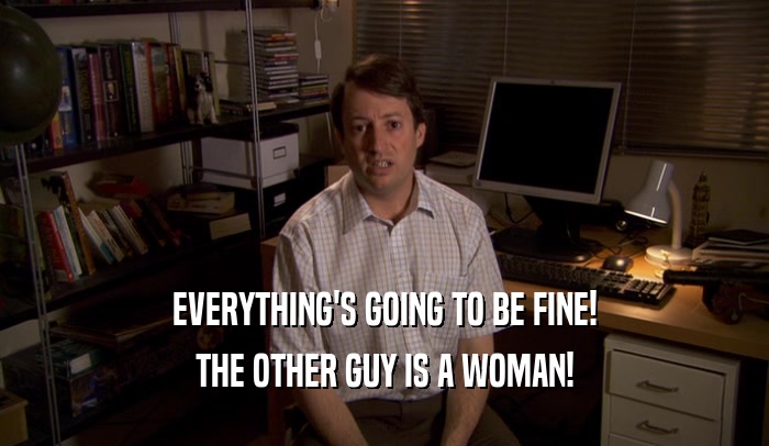 EVERYTHING'S GOING TO BE FINE! THE OTHER GUY IS A WOMAN! 