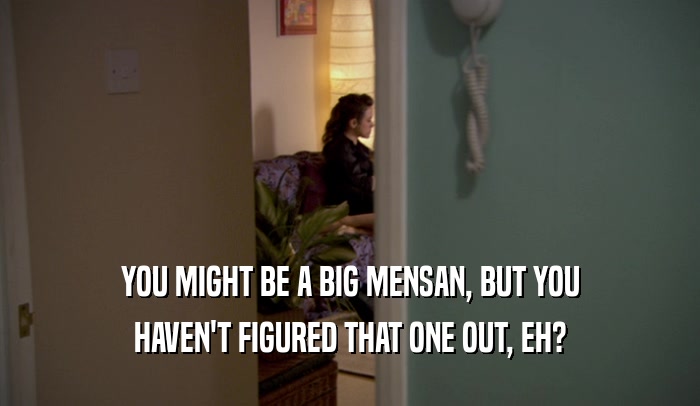 YOU MIGHT BE A BIG MENSAN, BUT YOU HAVEN'T FIGURED THAT ONE OUT, EH? 