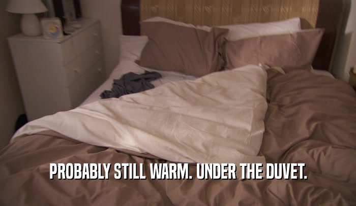 PROBABLY STILL WARM. UNDER THE DUVET.  