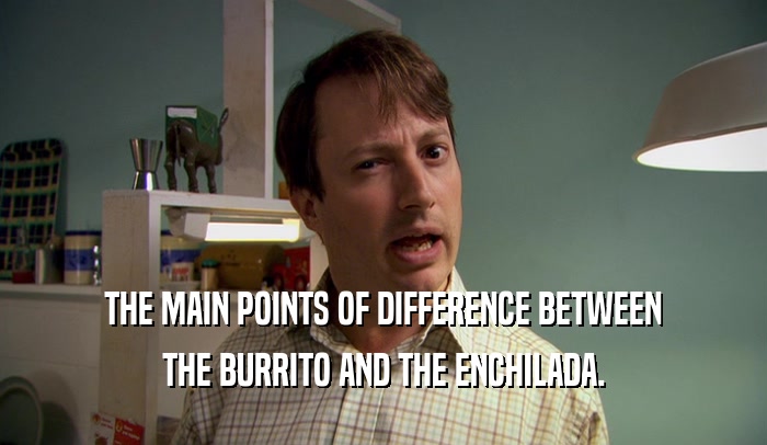 THE MAIN POINTS OF DIFFERENCE BETWEEN THE BURRITO AND THE ENCHILADA. 