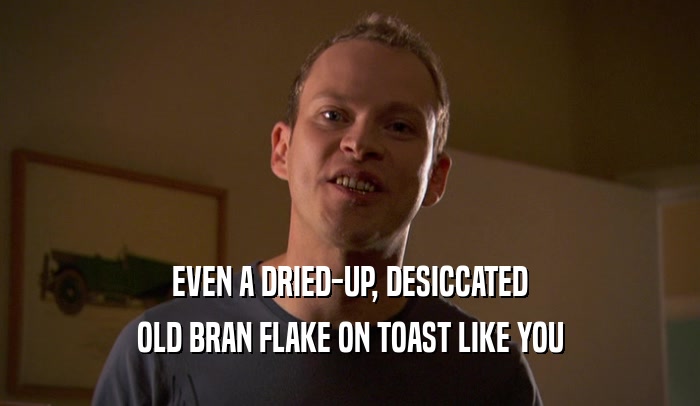 EVEN A DRIED-UP, DESICCATED OLD BRAN FLAKE ON TOAST LIKE YOU 
