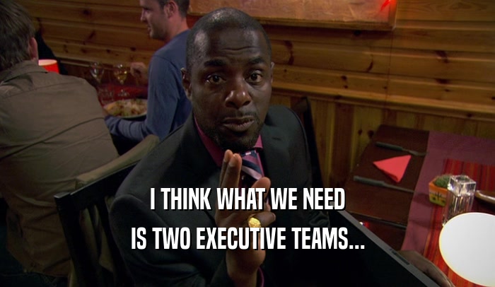 I THINK WHAT WE NEED
 IS TWO EXECUTIVE TEAMS...
 
