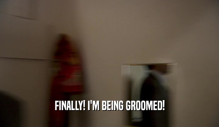 FINALLY! I'M BEING GROOMED!  