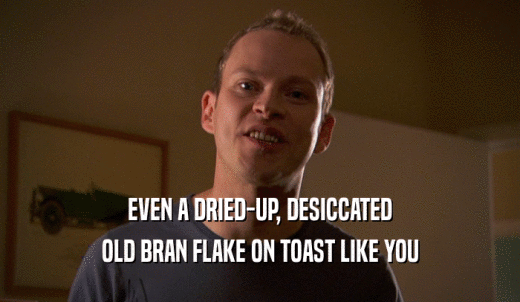 EVEN A DRIED-UP, DESICCATED OLD BRAN FLAKE ON TOAST LIKE YOU 