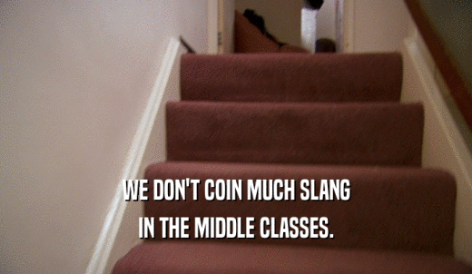 WE DON'T COIN MUCH SLANG IN THE MIDDLE CLASSES. 