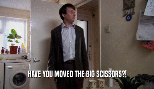 HAVE YOU MOVED THE BIG SCISSORS?!  