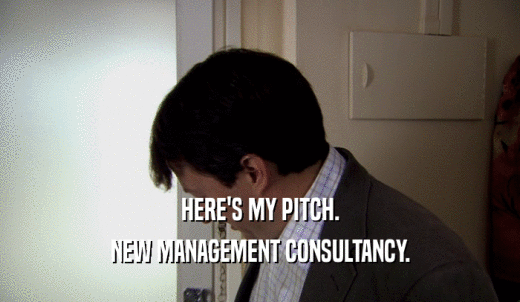 HERE'S MY PITCH. NEW MANAGEMENT CONSULTANCY. 