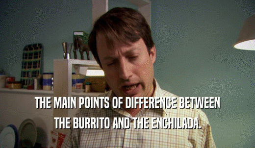 THE MAIN POINTS OF DIFFERENCE BETWEEN THE BURRITO AND THE ENCHILADA. 