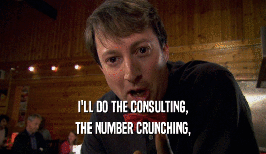 I'LL DO THE CONSULTING, THE NUMBER CRUNCHING, 