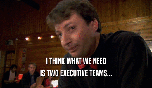 I THINK WHAT WE NEED IS TWO EXECUTIVE TEAMS... 