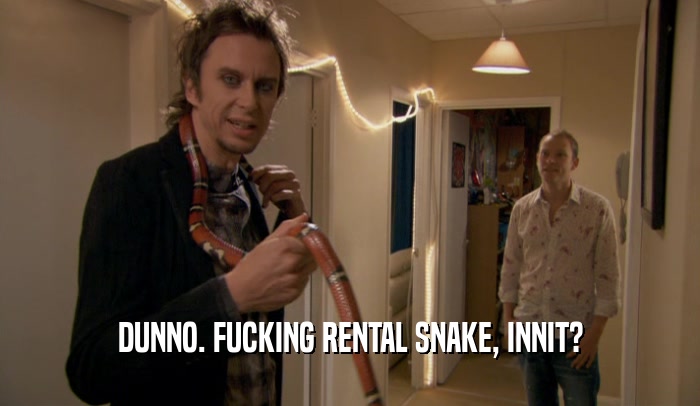 DUNNO. FUCKING RENTAL SNAKE, INNIT?  