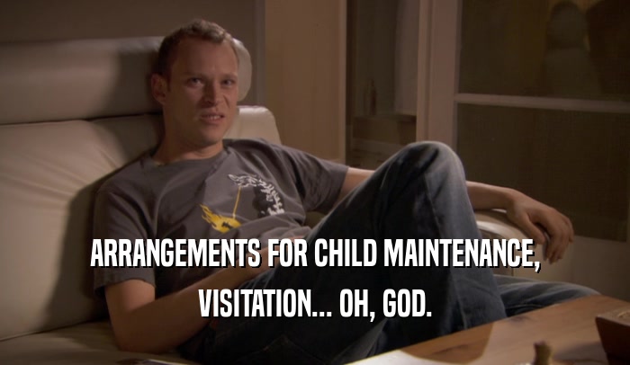 ARRANGEMENTS FOR CHILD MAINTENANCE, VISITATION... OH, GOD. 