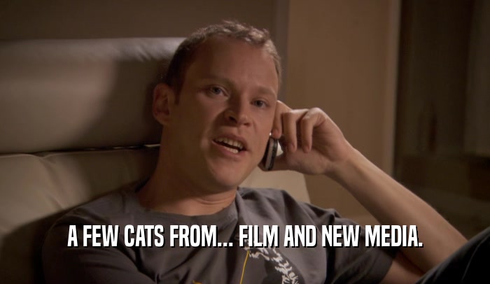 A FEW CATS FROM... FILM AND NEW MEDIA.  