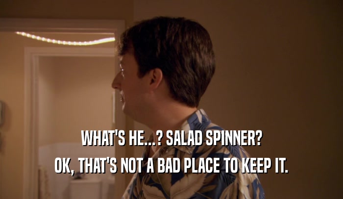WHAT'S HE...? SALAD SPINNER? OK, THAT'S NOT A BAD PLACE TO KEEP IT. 