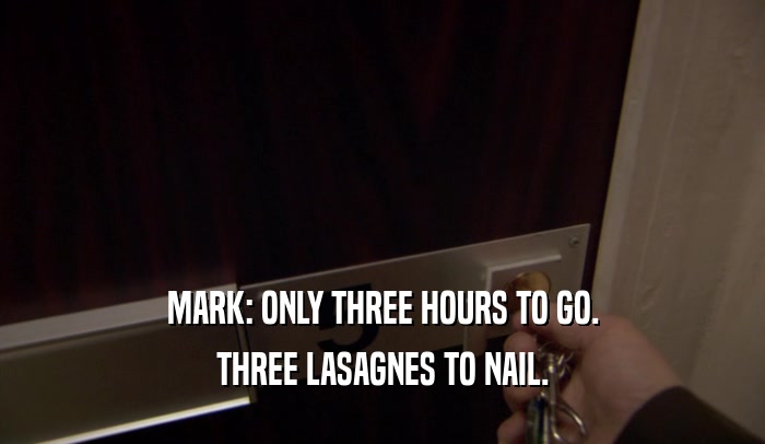 MARK: ONLY THREE HOURS TO GO. THREE LASAGNES TO NAIL. 