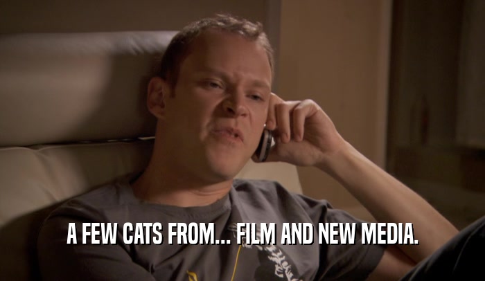 A FEW CATS FROM... FILM AND NEW MEDIA.  