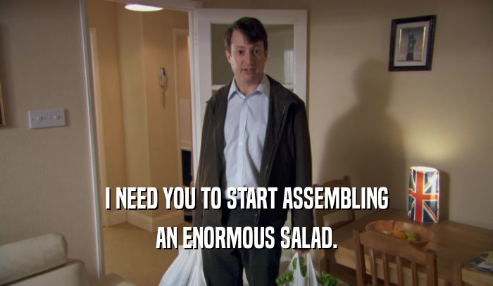 I NEED YOU TO START ASSEMBLING
 AN ENORMOUS SALAD.
 