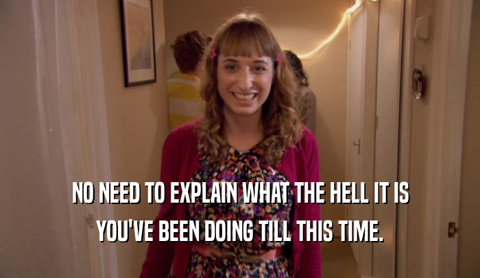 NO NEED TO EXPLAIN WHAT THE HELL IT IS YOU'VE BEEN DOING TILL THIS TIME. 