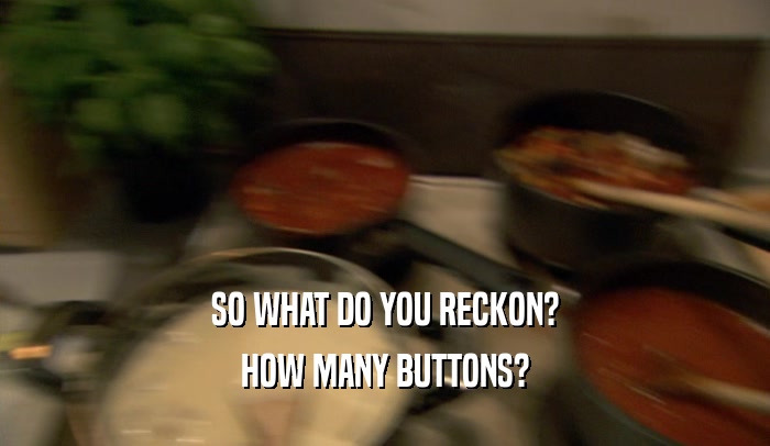SO WHAT DO YOU RECKON? HOW MANY BUTTONS? 