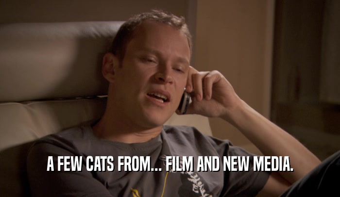 A FEW CATS FROM... FILM AND NEW MEDIA.  