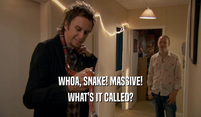 WHOA, SNAKE! MASSIVE! WHAT'S IT CALLED? 