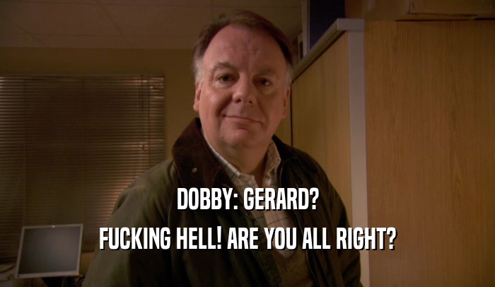 DOBBY: GERARD? FUCKING HELL! ARE YOU ALL RIGHT? 