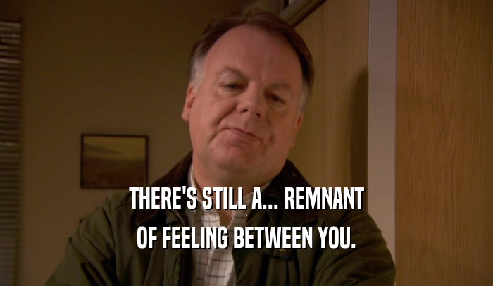 THERE'S STILL A... REMNANT OF FEELING BETWEEN YOU. 