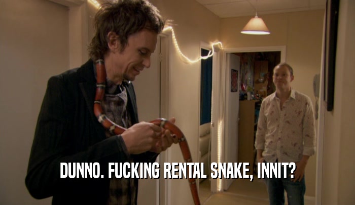 DUNNO. FUCKING RENTAL SNAKE, INNIT?  