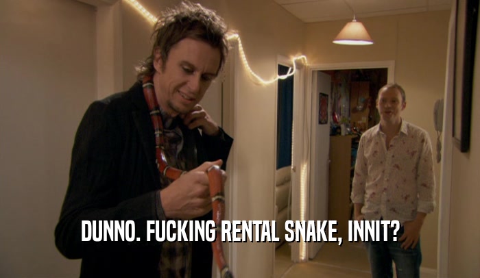 DUNNO. FUCKING RENTAL SNAKE, INNIT?  