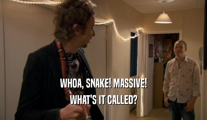 WHOA, SNAKE! MASSIVE! WHAT'S IT CALLED? 