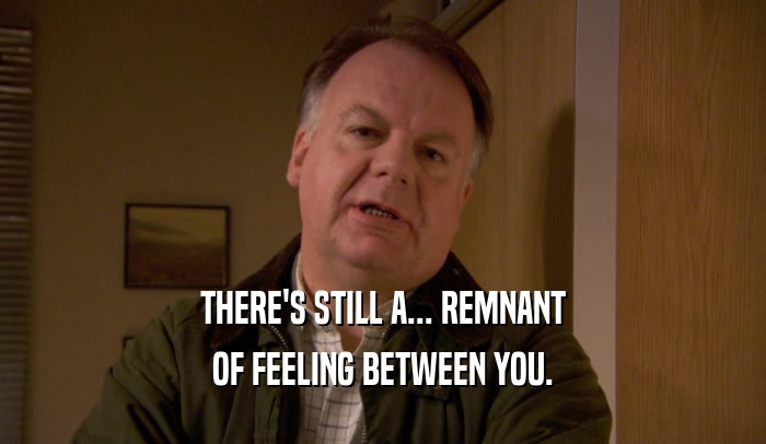 THERE'S STILL A... REMNANT OF FEELING BETWEEN YOU. 