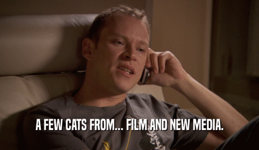 A FEW CATS FROM... FILM AND NEW MEDIA.  